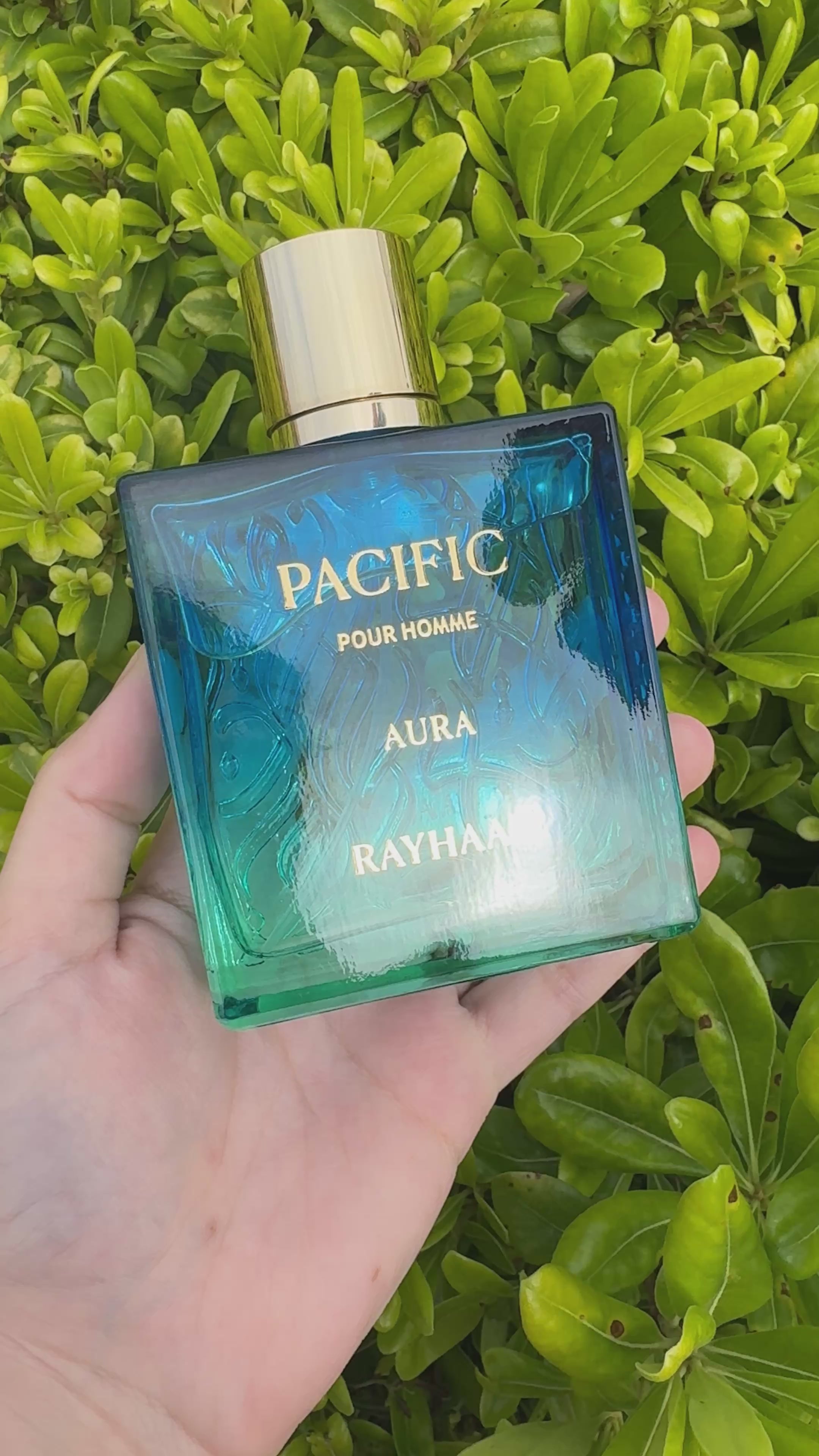 Rayhaan Pacific Aura – Amira Aromas