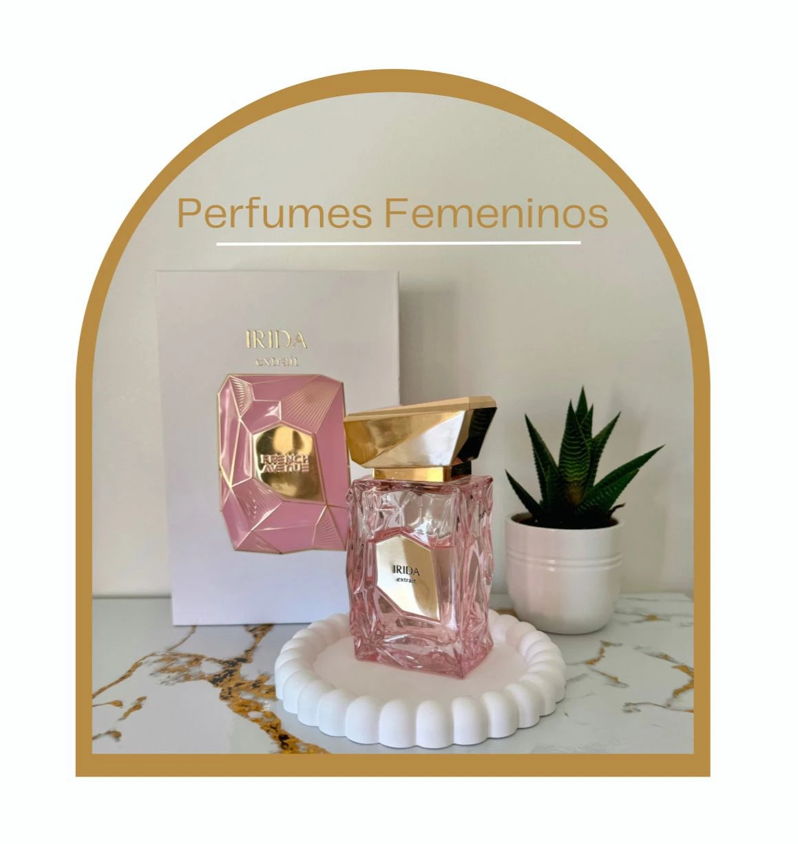 Perfumes de Mulher