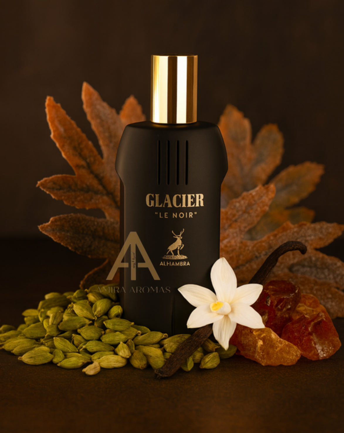 Glacier le Noir