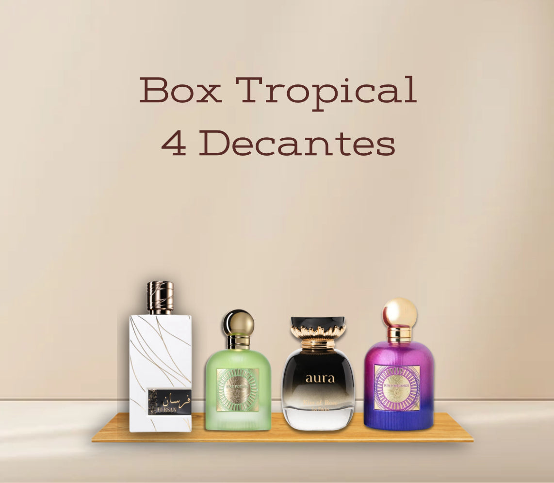 Box Tropical