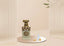 Decante Minya Coco Lush