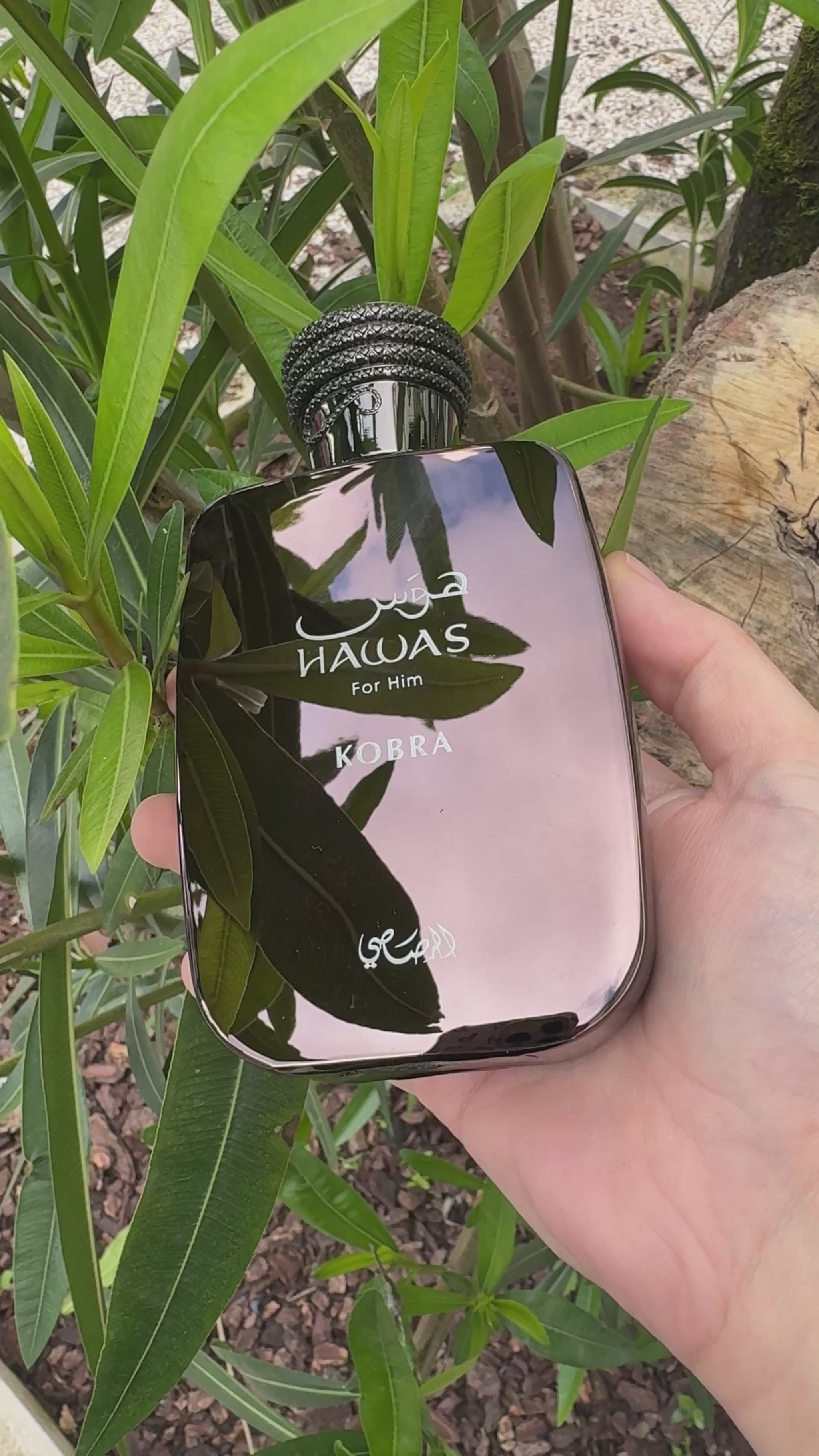 Hawas Kobra | Rasasi Eau de Parfum 100mL – Amira Aromas