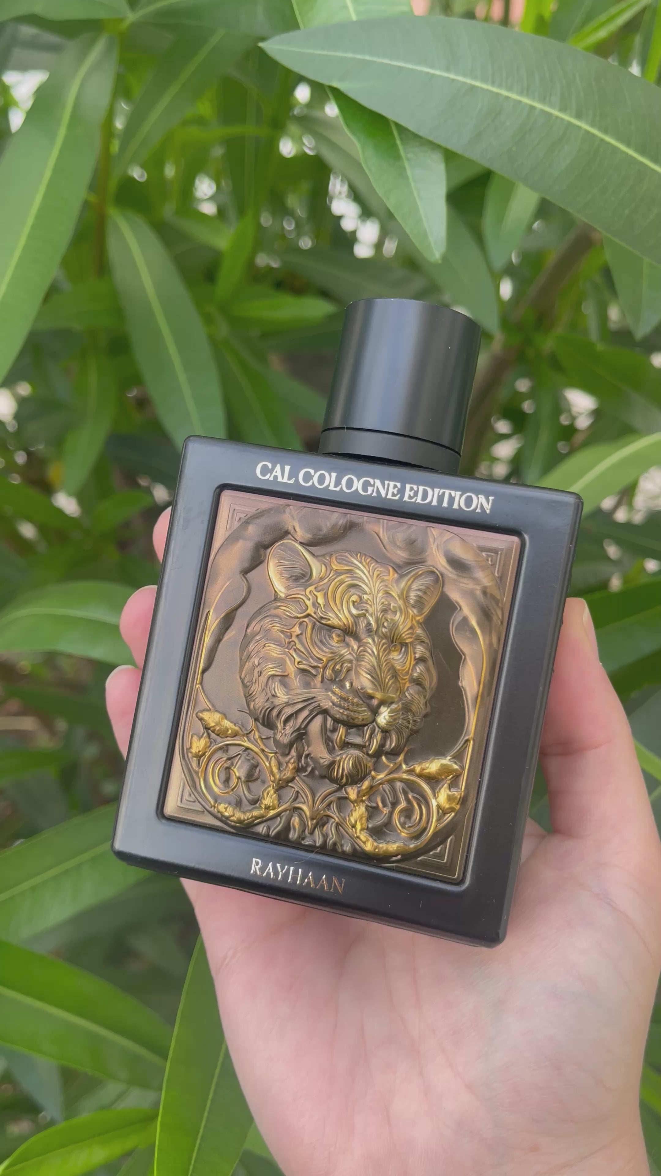Tiger Cal Cologne Edition | Rayhaan Eau de Parfum 100mL – Amira Aromas
